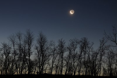 New Years Crescent Moon