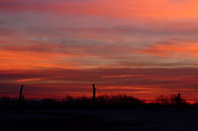 Orange Skyscape