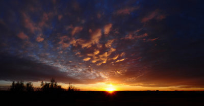 Sunset Pano