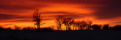 Sunset on Isaac Miller Trail