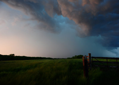 Storm over Blowing Grass