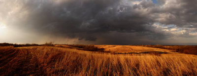Prairie Grasses with Storms