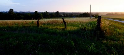 Fence Row near Middle Fork