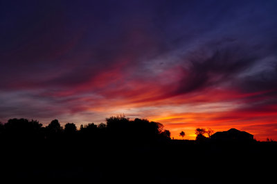 Sunset Closeup