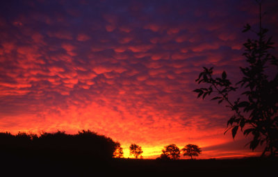 Morning Sunrise with Mammatus-Like Clouds