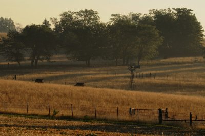 Morning Mist in Missouri (Color)