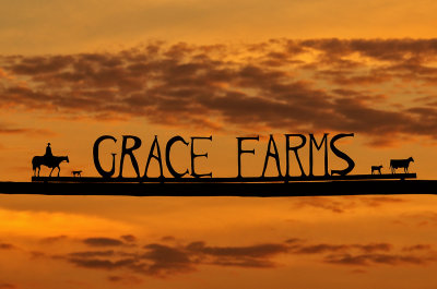 Sunrise at Grace Farms