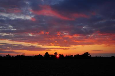 Sunset over Farmland