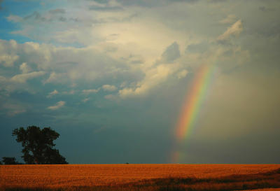Rainbow Near Elam Bend