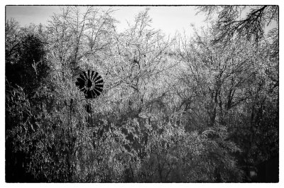 Ice Storm & Windmill