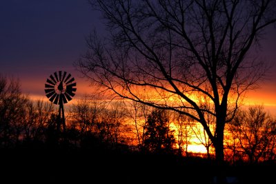 Sunset with Trees & Windmill