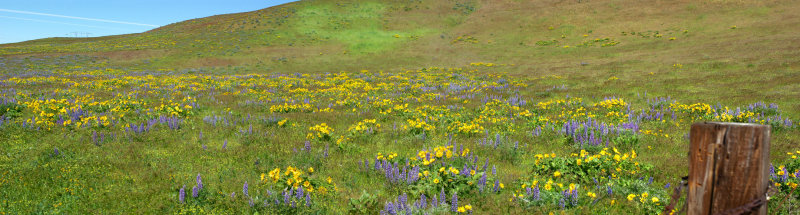 Columbia Mountain