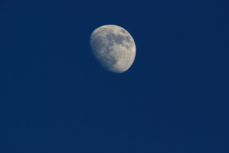 Winter Moon