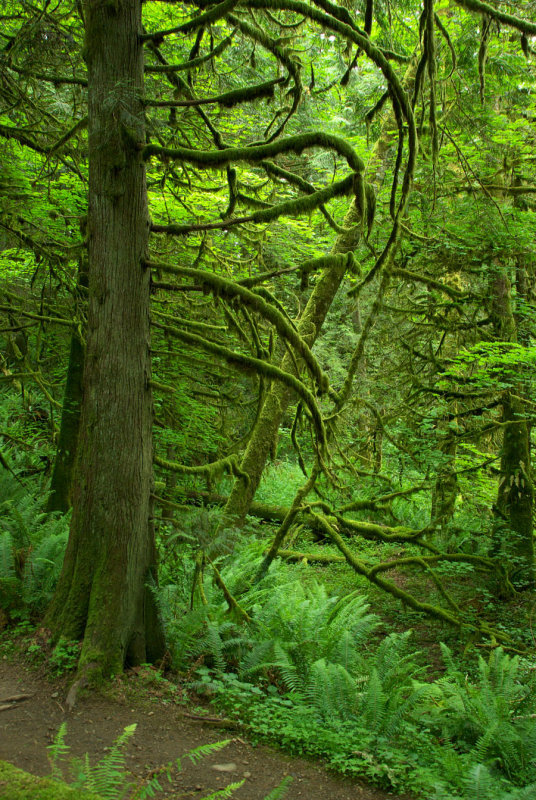 Stimpson Nature Preserve