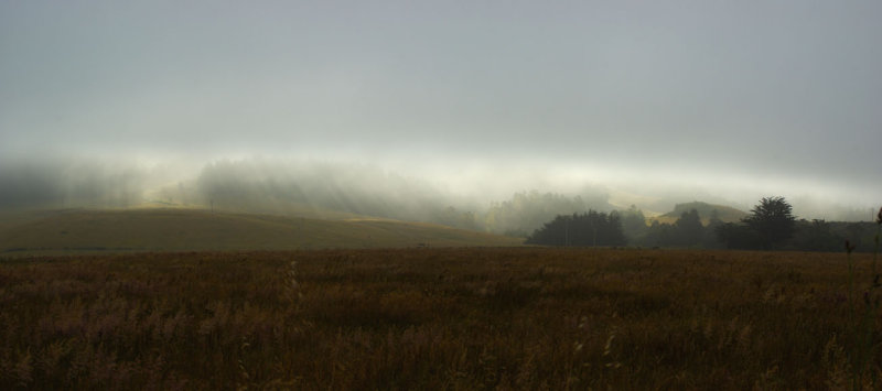 early morning fog