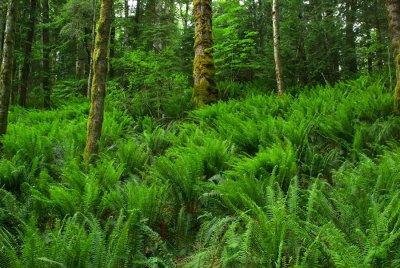 Stimpson Nature Preserve