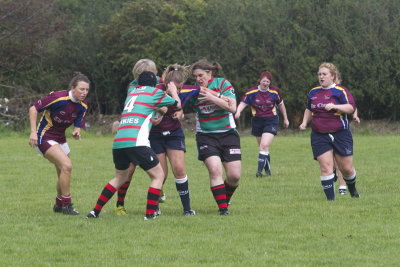 IMG_5347 copy.jpg