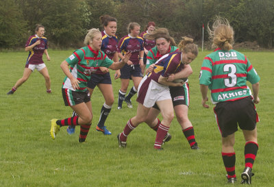 IMG_5364 copy.jpg