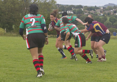 IMG_5388 copy.jpg