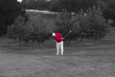IMG_6273 copy2.jpg
