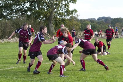 IMG_6728 copy.jpg