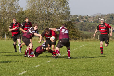 IMG_6620 copy1.jpg