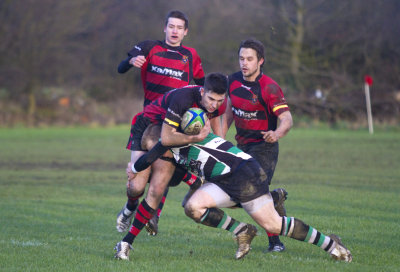 IMG_8059 copy.jpg