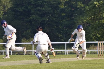 IMG_8915 copy.jpg