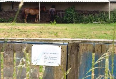Do not feed or enter the horses! Nay chance