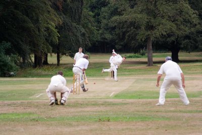 IMG_2195 copy.jpg