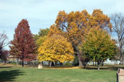 Fall 2005