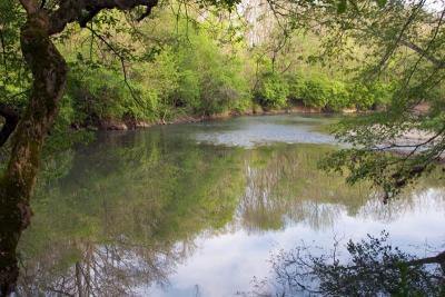 Little Miami River, Greene Co., OH