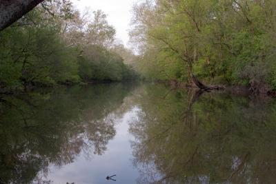 Little Miami River, Greene Co., OH