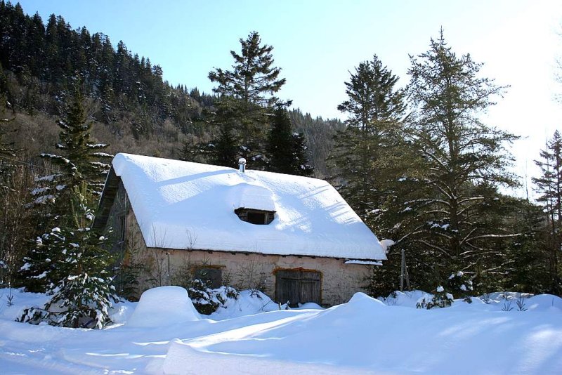  Le flocon de neige..
