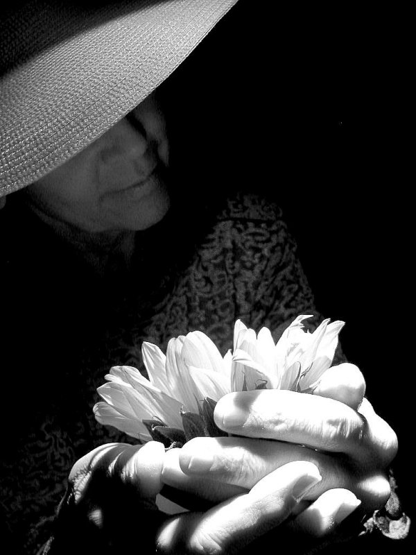  La fleur de l'amiti..