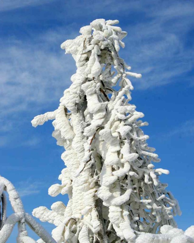  Hiver