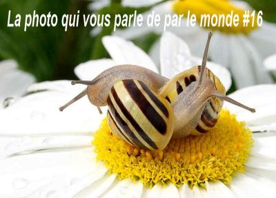 g4/95/635495/3/91379235.hBl0HyEF.jpg