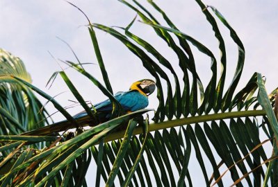  La Guyane