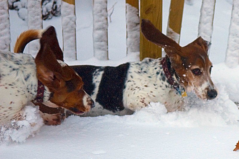 having fun in the snow