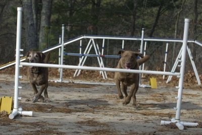 DSC_6450.jpg