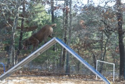 DSC_6525.jpg