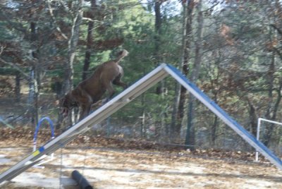 DSC_6526.jpg