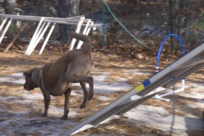 DSC_6552.jpg