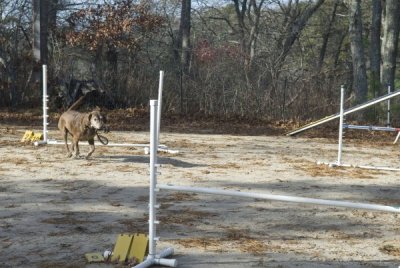 DSC_6594.jpg