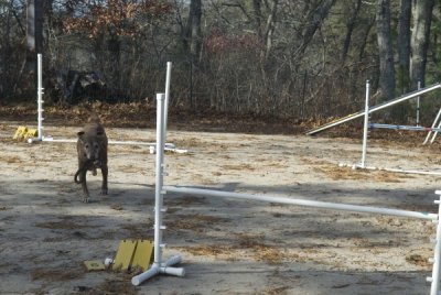 DSC_6595.jpg