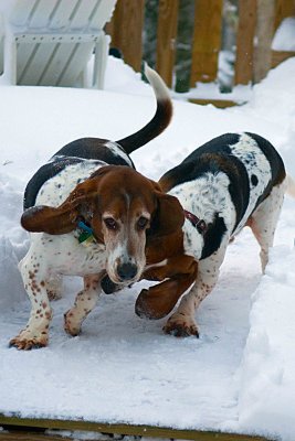 having fun in the snow