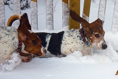having fun in the snow