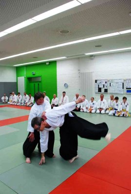 Aikido 2011 (13).jpg