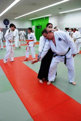 Aikido 2011 (15).jpg