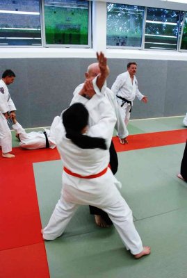 Aikido 2011 (19).jpg